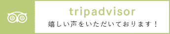 tripadviser